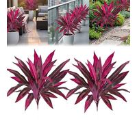 2PCS Large Realistic Artificial Boston Fern & Dragon's Blood Tree Plants, UV Resistant Artificial Ferns Outdoor, Deep Purple Faux Foliage for Outdoors Outside Garden Patio Wedding Balcony (2pc)