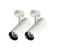 2pcs LED Ceiling Spotlight Surface Mounted Accent Spot Lighting Fixture, Adjustable Downlight Metal Ceiling Lamp, Modern Directional Spotlights for Gallery Corridor