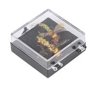 2pcs Lightweight Trout Flies Realistic Insect Lures for Increased Fishing Success in Freshwater and SFor altwater (9-2d)