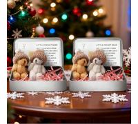 2PCS Little Pocket Bear Hug in a Tin Box,Handmade Fuzzy Bear Hug Box Set,Mini Plush Teddy Bears Set with Inspirational Card in Metal Tin Gift Boxes,Christmas Birthday Gift for Families Friends
