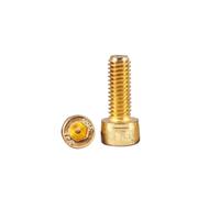 2pcs M2 M2.5 Length 4-20mm Titanium Plating Gold 12.9 Grade Screw Hexagon Hex Socket Head Cap Bolt(5mm,M2.5)