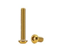 2PCS M4 M5 M6 M8 Titanium Golden 304 Stainless Steel Round Button Head Hex Socket Screw Bolt(M5x25mm-2pcs)