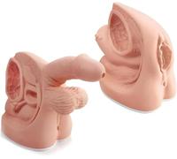 2Pcs Male and Female Catheter Anatomy Model, Simple Internal and External Genital Anatomy Model and Urinary Catheter Mold for Clinical Teaching and Practical Training