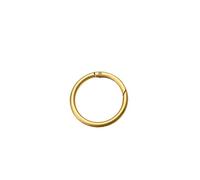 2Pcs Metal O Ring Spring Clasps - Openable Round Carabiner Keychain Bag Clips Hook Buckles for DIY Accessories(Gilded Gold,34x25x5mm)