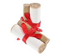2pcs Mini Calligraphy Scroll for 2 Roll Flower Print Paper