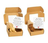 2Pcs Mini Worry Bear in a Box, My Little Worry Bear Set, Emotional Support Teddy Bear for Adults, Students, Children, Ideal for Stress Relief, Travel Companion, Desk Decoration