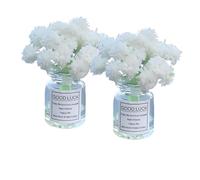 2Pcs Miniature Flower Vases with White Baby’s Breath - Realistic Handmade Dollhouse Accessories for 1:6/1:8 Scale, Fairy Garden Props, DIY Craft Elements, Cupcake Decor, Micro Landscape Embellishments