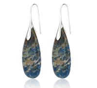 2pcs Natural Stone Earrings, Fishhoop Dangle Dangling Earrings Eye-Catching Stone Dangly Drop for Women Unusual Novelty Funky Jewelry (Blue Brown, Silver)