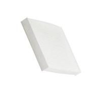 2Pcs New Car Carbin Air Filter Cleaner Compatible for 2000-2006 Nissan Altima Maxima Murano Sentra X-Trail CF10140 AQ1087 MCF10140 C35530
