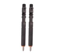 2Pcs New Diesel Fuel Injector (with 16-Bit Code) Ejbr02801d 33800-4X500 Compatible for Hyundai Terracan Compatible for Kia Carnival Bongo 2.9L