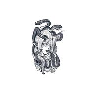 2pcs nine-headed banshee juice tattoo stickers, semi-permanent tattoos, realistic fake tattoos, temporary tattoos that last 7-15 days waterproof non-reflective non-toxic