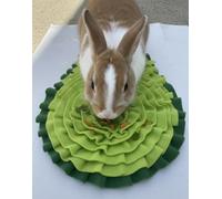 2pcs of Avocado shaped and colored cute small Green snuffle mat for small dogs cats, 41x30cm, sniffing and foraging mat