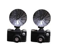 2pcs Office Display Ornament Vintage Camera Prop Resin Seagull Camera Decoraciones Para Salas De Casa Showcase Decoration Vintage Home Decor Desktop Decor Car Model American Style charitable