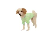 2pcs Pet Clothes Vest Cooling Shirt Small Sweatshirt Xs-XXL Summer Pet Tank Top(Green,M)