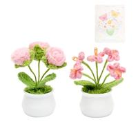 2Pcs Pink Crochet Flowers Potted, Handmade Rose Forget Me Not Knitted Flowers with Greeting Card, Cute Crochet Plant Ornament for Desk Decoration, Birthday