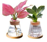 2PCS Plants Propagation Station, Hydroponics Glass Vase High-Density Borosilicate Glass Plant Terrarium Jar Hydroponics Propagation Station with Tray for Home Office Decor (Set 4)