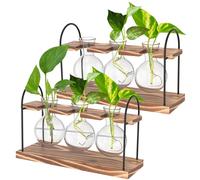 2pcs Propagation Station for Plants, Terrarium for Hydroponic Plants, Plant Terrarium with Wooden Stand, Desktop Hydroponic Planter Glass Vase for Home Garden Office Decoration