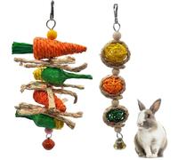 2pcs Rabbit Boredom Breakers and Guinea Pig Toys, Natural Small Animal Chew Toys,Carrot String and Willow Ball Set for Hamster Enrichment, for Cage Boredom Breaker Teeth Grinding Enrichment Toys