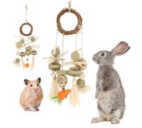 2Pcs Rabbit Chew Toys, Rabbit Toys Boredom Breaker, Chinchilla Toys Cage Hanging Bunny Chew Toys and Treats Rattan Ring for Guinea Pigs Chinchillas Hamsters Rats and Other Small Pets Teeth Grinding