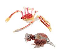 2pcs Realistic Crab Figurine Set - Imitation Small Crab Sculpture for, Educational Ocean Animal Models for Nursery and Early Learning Decor