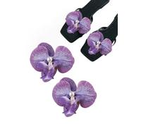 2pcs Removable DIY Floral Shoe Buckle Flower Shoe Clips Beachy Vacation Accessories，Sweet Shoe Charms for Heels and Flats, Bridal Wedding Shoes Clips for Women Elegant Fake Flower Girl Woman #4