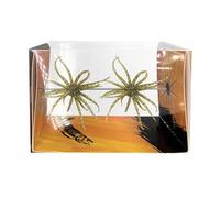 2Pcs Sea Urchin Soft Bait Realistic Tentacle Fishing Lures, Floating TPR Swimbait with Reflective Flash for Bass Trout Perch, 6 Colors Artificial Worm Baits for Saltwater Freshwater Shore Angling (A)