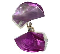 2Pcs Semicircle Worship Wing Flags Praise Dance Flags With Scalable Rods For Dance Banners Easy To Use Praise Props