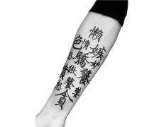 2pcs Seven Deadly Sins Dark Herbal Temporary Tattoo Stickers, Semi-permanent Non-reflective, Waterproof, Lasting 2 Weeks, Fake Tattoos
