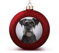 2PCS Shatterproof Christmas Ball Ornaments 3 Inch PC Plastic Xmas Tree Hanging Decor, Cute Schnauzer Ornaments with Festive Designs for Tree & Home Decor, Red-Style