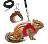 2PCS Sm Pet Outdoor Walking Harn Vest and Le Set with Decor for Kitten Accessory Harn Le for Rat Othe Outdoor Walking Vest SetClothes AccessoryHarn and Set