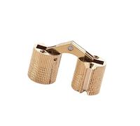2Pcs Small Box Concealed Hinges Brass Design for Jewelry Keepsakes 180 Degree Angles Furniture Brass Concealed Cylindrical Hinge Small Barrels for Jewelry Keepsakes Box Cabinet Door