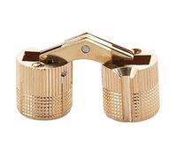 2Pcs Small Box Concealed Hinges Brass Design for Jewelry Keepsakes 180 Degree Angles Furniture Brass Concealed Hinges Cylindrical Hinge Small Barrels for Jewelry Keepsakes Box Cabinet Door