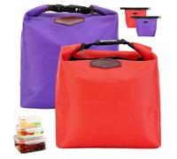 2Pcs Small Cooler Bag, 9.8x8.3x3.0 Inch Insulated Oxford Cloth Thermal Lunch Bag with Buckle Handle, Waterproof for Office, School, Travel, PicnicThermal Lunch
