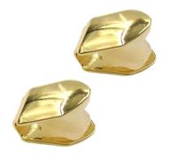 2Pcs Solid Hip Hop Teeth Plain,Shiny Hip Hop Teeth Grill Caps,Gold Tooth Cap,Single Top Fang Tooth Grills Cap,Fake Gold Teeth,Temporary Tooth Decoration for Adult,for Party Cosplay,Easy to Wear