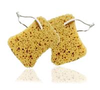 2Pcs Sponges Bath Natural Sea Sponge Bath Sponges for Women Bathroom Sponge, Shower Sponge for Women Men Exfoliating Body Sponge Dense Foam Gentle & Deep Cleansing | Bath and Scrub Honeycomb Sponge