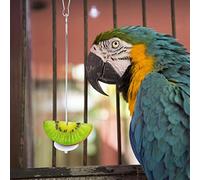 2PCS Stainless Steel Small Animal Fruit Vegetable Stick Bird Cage Feeder Skewer Foraging Hanging Food Feed Treating Tool for Parrots Cockatoo Cockatiel, Multi Purpose, Top Catch