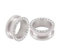 2Pcs Surgical Steel Flesh Clear Piercing Jewelry Stretcher Ear Ring Lobe Tunnel Plug Gauge More Choices, Stainless Steel, no gemstone