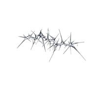 2pcs Thorns Collarbone Tattoo Stickers Plant Waterproof Lasting Realistic Female Hundred Pattern Sticker, Fake Tattoos