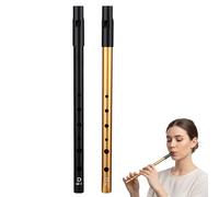 2Pcs Tin Whistle D, Tin Whistle for Beginners, Irish Whistles D, Six-Hole Penny Slide Whistles for Beginners Intermediate and Expert Band Performances