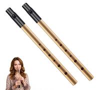 2PCS Tin Whistle Set, Penny Whistles, D & C Key Tin Whistle with Slide Flute, Premium Six-Hole Metal Instrument for Beginners, Gold Celtic Folk Music Set for Practice & Performance