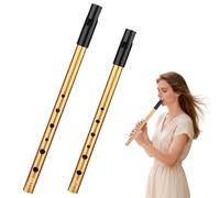 2Pcs Tin Whistle, Tin Whistles D & C for Traditional Celtic Music