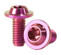 2Pcs Titanium Bike Water Bottle Cage Bolts M5x10mm Ultralight Truss Head Screws Weather Resistant for Outdoor Cycling Equipment (Pink)