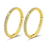 2PCS Titanium Nose Rings 18G 16G CZ Hoop Nose Ear Clicker for Women 8mm 10mm Hinged Segment Septum Lip Rings Tragus Conch Helix Cartilage Rook Daith Piercing Jewelry Silver- Gold, 18G 8mm, Titanium