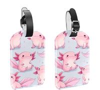 2Pcs Travel Cruise Luggage Tags, Cute Cartoon Axolotl Collection PU Leather Suitcase Identifiers Privacy Cover Name ID Label for Women Kids Girls Baggage