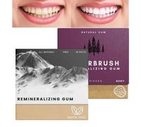 2PCS Underbrush Remineralizing Chewing Gum,Mastic Mints Teeth Cleaning G/um,Remineralizing Chewing Gu/m,Mint Chewing G/um,Organic Portable Teeth Cleaning Gu/m,Freshen Breath#Raspberry + Snow Mountain