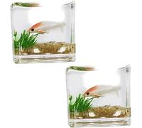 2Pcs White Goldfish Charm of A Mini Tank with This 1:12 Scale Miniature Accessory Square Fish Tank Realistic Glass Decor for Dollhouse Display Captivating Miniature for Crafts Ornaments Handmade