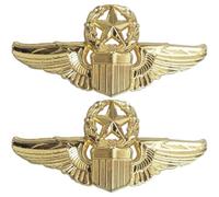 2pcs Wings Pin Alloy Gold Pilot Badge Costume Lapel Pins Brooch Air Pins Metal Wings Pin for Hat Shirt Uniform Pilot Costume