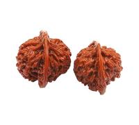 2Pieces Authentic Chinese Cultural Peanut Natural Peanut Stress Relief Toy for Daily Relaxation and Home Decoration Natural Handicraft