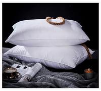 2pk Goose Feather Down Pillow Luxury pillowcase TC600 Computer Quilted Self piping Comforter Deluxe Best Hotel Quality Anti Allergy Super Soft Warm and Cosy (2pk Pillow 74x48cm)