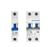 2RD58I8PM NBL7-63 DC MCB 1P 2P 300V 600V 1000V 63A 6kA Solar PV C Curve Switch Mini Circuit Breaker 1Pcs(25 V,2P 1000VDC)